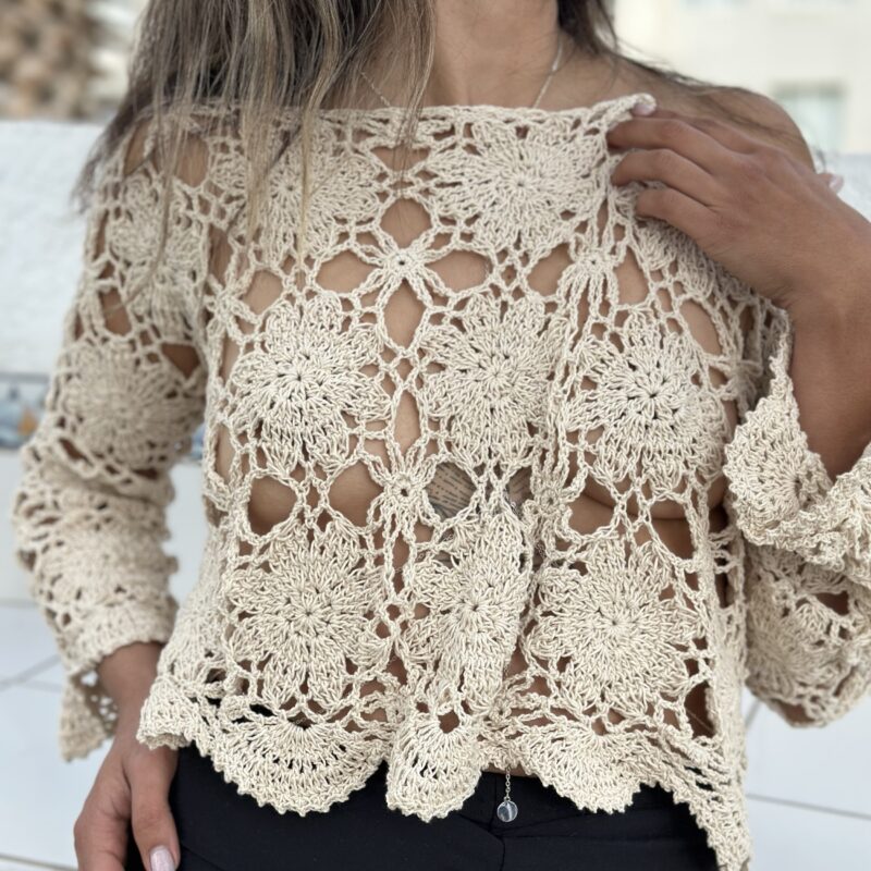 Top crop manga larga de encaje